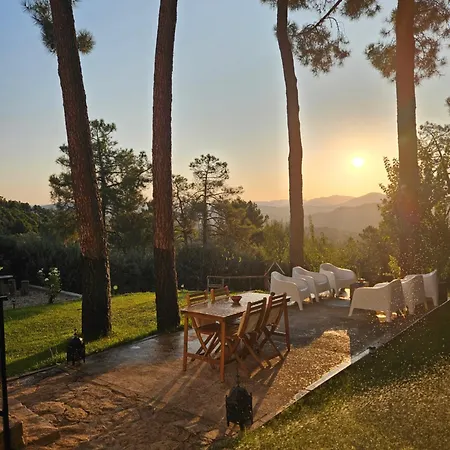 Holiday home La Pinona *