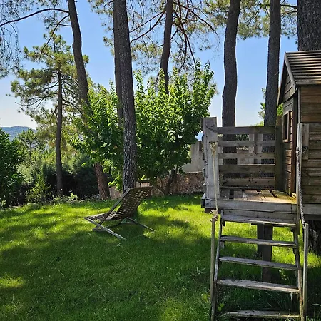 La Pinona Holiday home