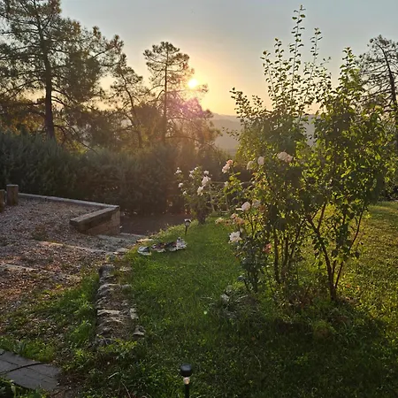 Holiday home La Pinona