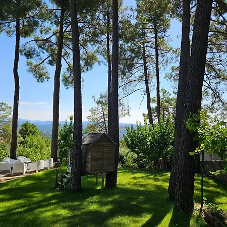 Holiday home La Pinona El Tiemblo